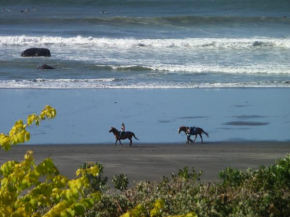 49 on Jans Beach Break